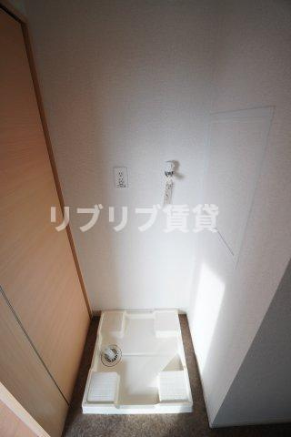 ぶどうの木のその他