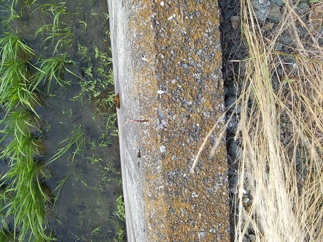 高島市安曇川町青柳作業所のその他