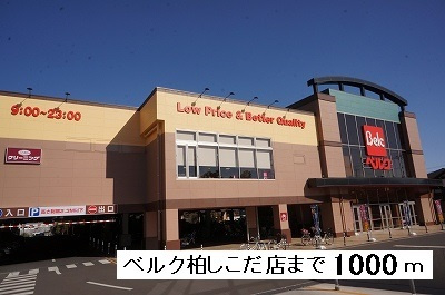 コスモミツキーズの周辺