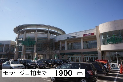 コスモミツキーズの周辺
