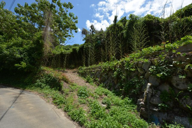 【前面道路含む現地写真】 | 上頓野売地