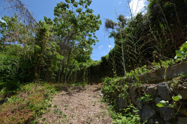 【前面道路含む現地写真】 | 上頓野売地