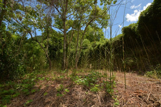 【前面道路含む現地写真】 | 上頓野売地