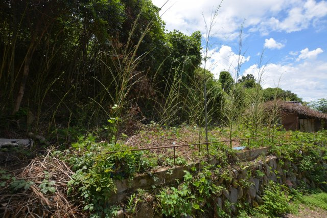 【前面道路含む現地写真】 | 上頓野売地