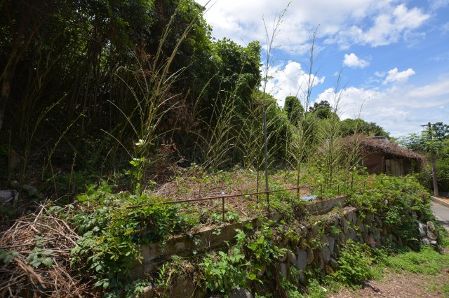 【前面道路含む現地写真】 | 上頓野売地
