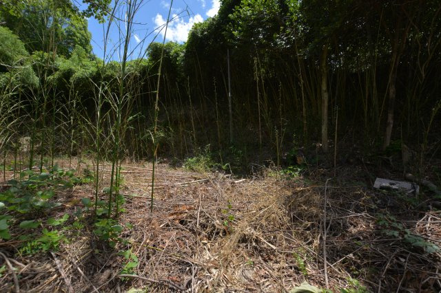 【前面道路含む現地写真】 | 上頓野売地