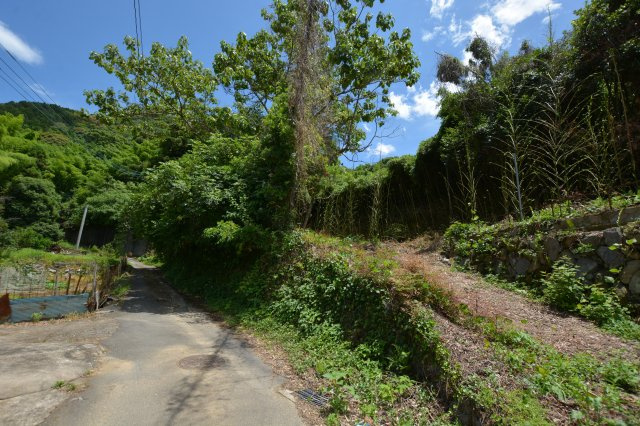 【前面道路含む現地写真】 | 上頓野売地
