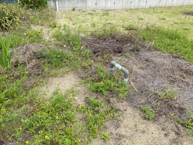 和歌山市毛見・土地・56732の周辺