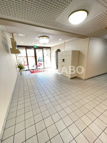 大正メゾンのその他