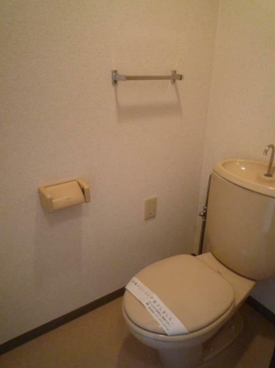 ヴェルドミールのトイレ