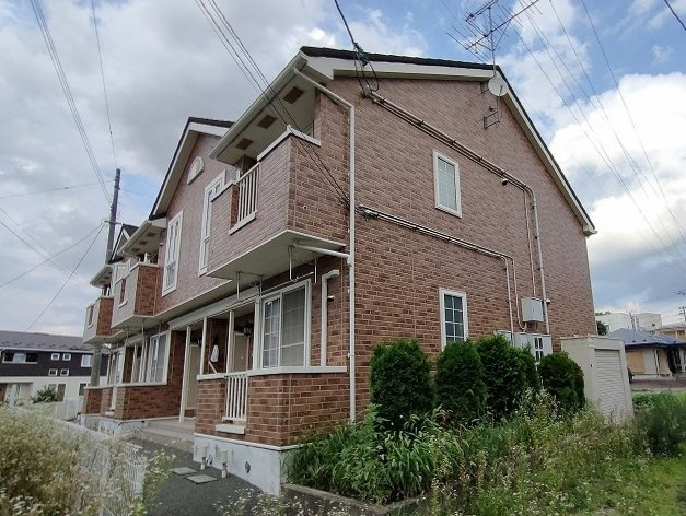 エヴァーグリーン