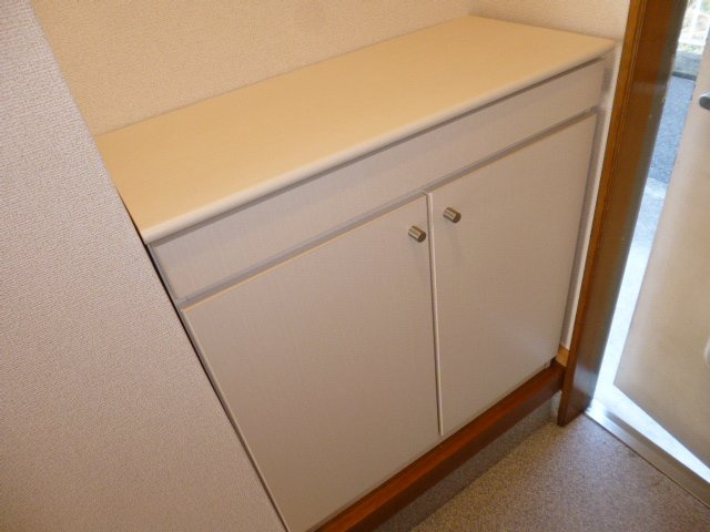 ニューシティくらしきの玄関|シューズボックス