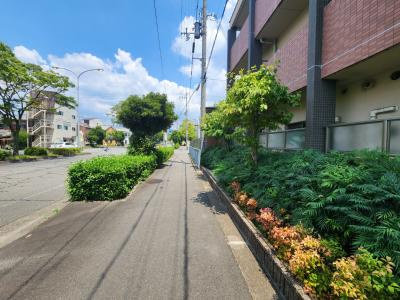 ラフィーネ西沢の周辺|前面道路