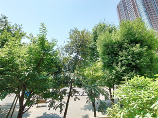 【展望】