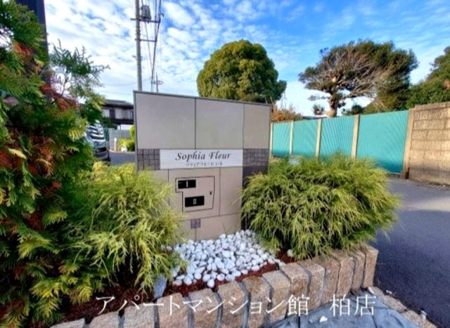 ソフィアフルールⅠの居間・リビング