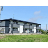 サープラスコスモスの画像