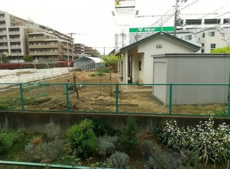 イマーブル89の展望