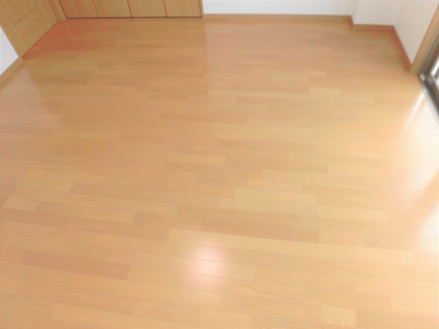 ロイヤル芝原南館の洋室