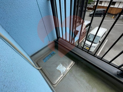  | ファロー和泉