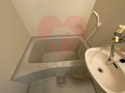  | ファロー和泉