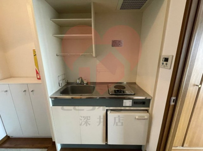  | ファロー和泉