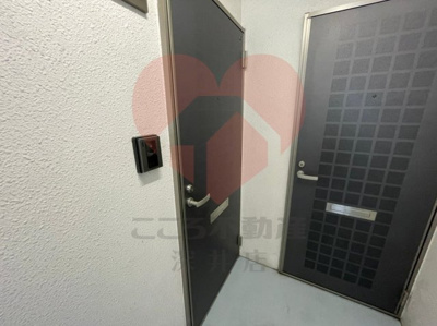  | ファロー和泉