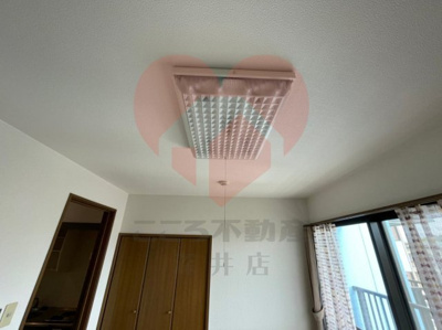  | ファロー和泉