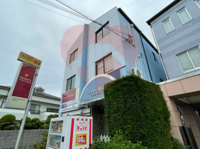  | ファロー和泉