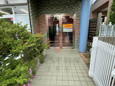  | ファロー和泉