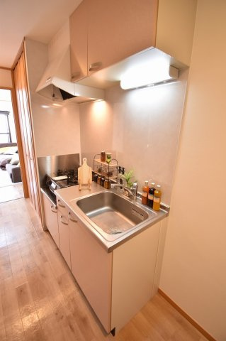 ドゥエリング上汐のキッチン