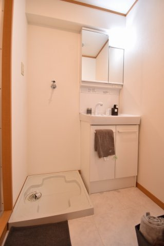 ドゥエリング上汐の洗面所