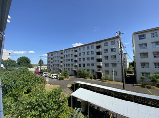 【展望】