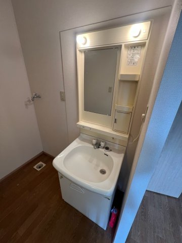 ピッケル末広の洗面所