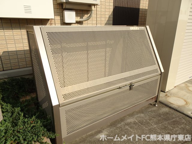 チェルシー広崎のその他