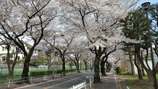 【周辺】 | 染地せせらぎの散歩道
