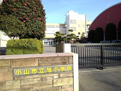 【その他】 | ツインカメリヤ