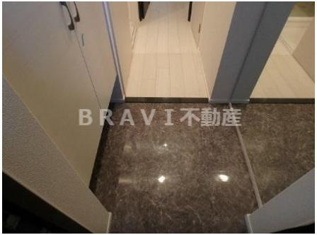 レオンコンフォート本町東Ⅱ　BRAVI不動産の玄関|【レオンコンフォート本町東Ⅱ】落ち着いた玄関です