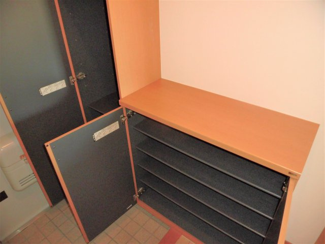 レディアンスSの玄関