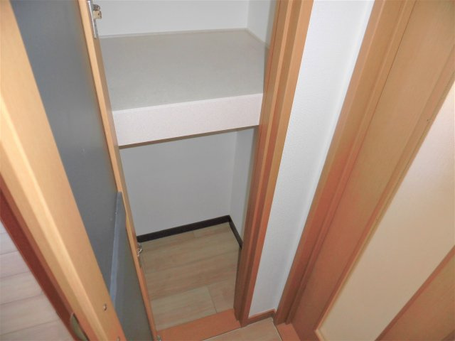 レディアンスSの収納