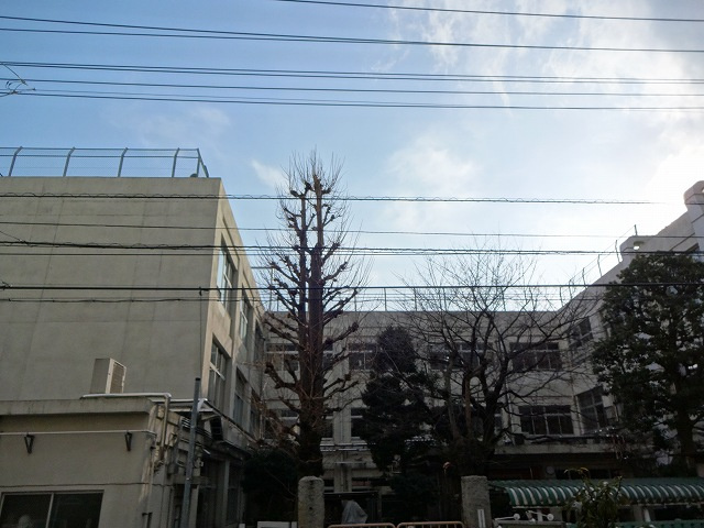 ウィステリア・ヒルズ西中延の展望