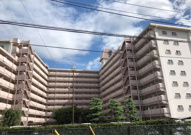 豊栄浦和常盤マンションの画像