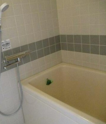 【浴室】 | ダイヤ板橋コーポ