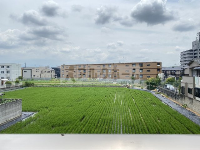 南十字星Ⅱの展望