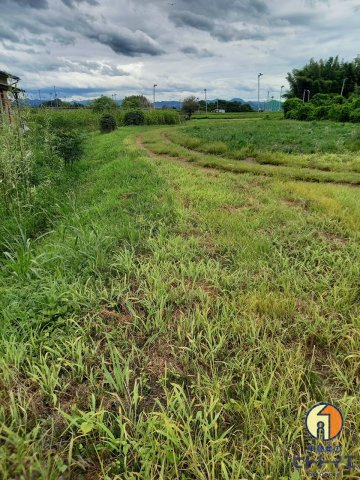 蒲原土地の外観