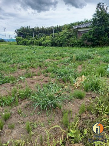蒲原土地の外観