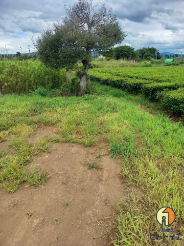蒲原土地の外観