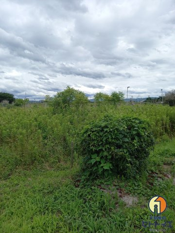 蒲原土地の外観