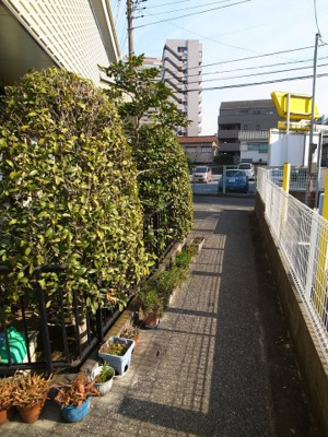 【エントランス】 | シティハイム・ノブト | 緑を抜けて、お部屋へ。