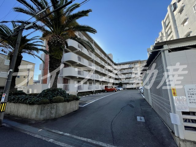 メゾンドール水野の外観|外観も気になるポイント