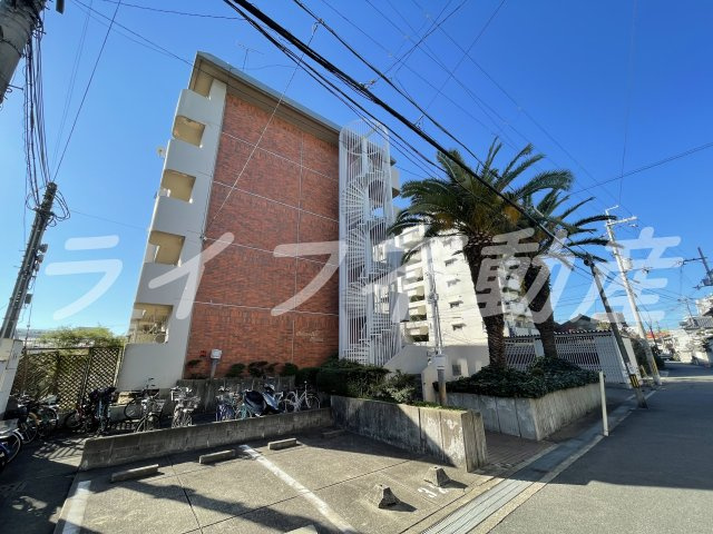 メゾンドール水野の外観|落ち着いた雰囲気の外観です